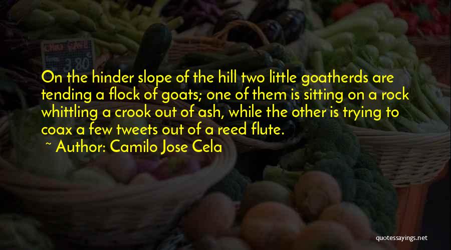 Camilo Jose Cela Quotes: On The Hinder Slope Of The Hill Two Little Goatherds Are Tending A Flock Of Goats; One Of Them Is