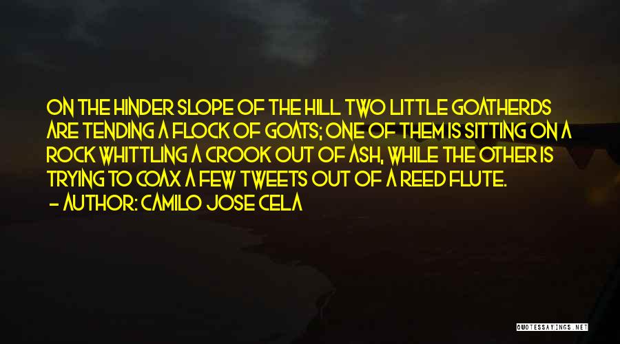 Camilo Jose Cela Quotes: On The Hinder Slope Of The Hill Two Little Goatherds Are Tending A Flock Of Goats; One Of Them Is