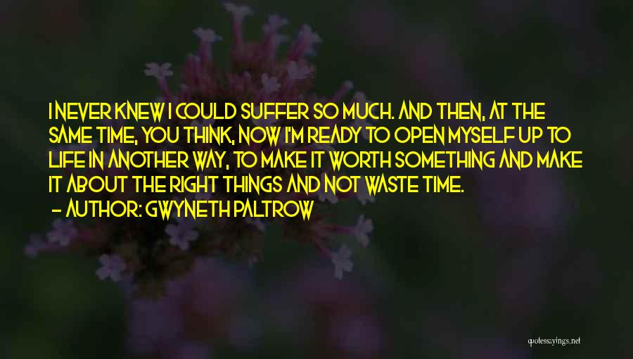 Gwyneth Paltrow Quotes: I Never Knew I Could Suffer So Much. And Then, At The Same Time, You Think, Now I'm Ready To