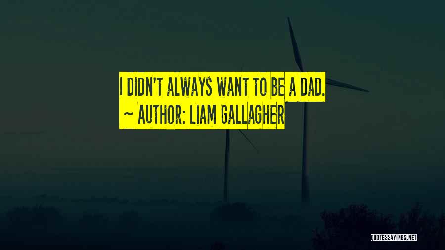 Liam Gallagher Quotes: I Didn't Always Want To Be A Dad.