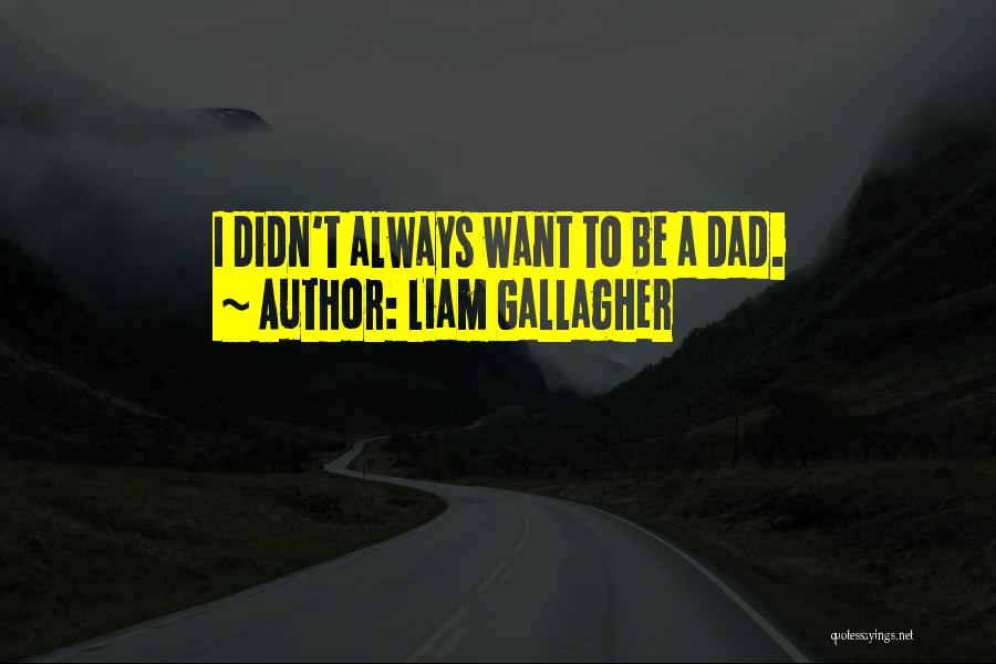 Liam Gallagher Quotes: I Didn't Always Want To Be A Dad.