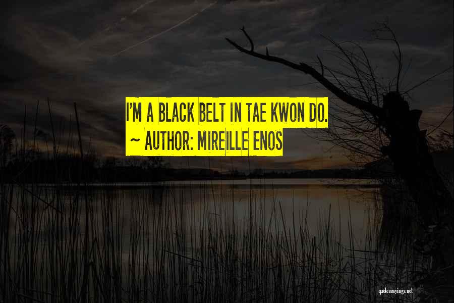 Mireille Enos Quotes: I'm A Black Belt In Tae Kwon Do.