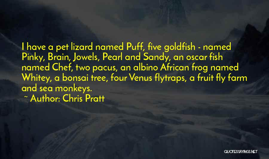 Chris Pratt Quotes: I Have A Pet Lizard Named Puff, Five Goldfish - Named Pinky, Brain, Jowels, Pearl And Sandy, An Oscar Fish