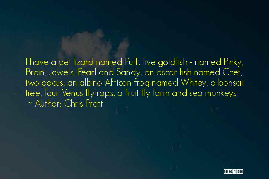 Chris Pratt Quotes: I Have A Pet Lizard Named Puff, Five Goldfish - Named Pinky, Brain, Jowels, Pearl And Sandy, An Oscar Fish