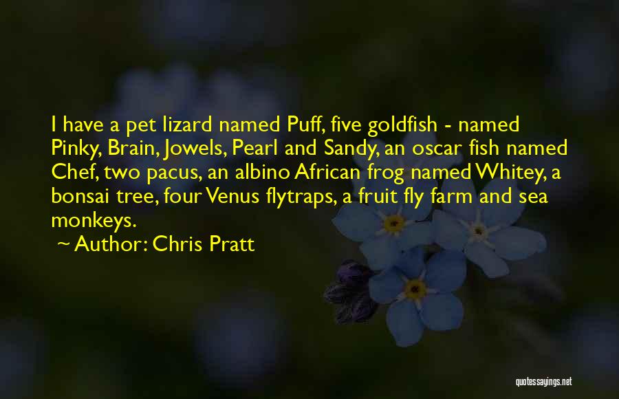 Chris Pratt Quotes: I Have A Pet Lizard Named Puff, Five Goldfish - Named Pinky, Brain, Jowels, Pearl And Sandy, An Oscar Fish