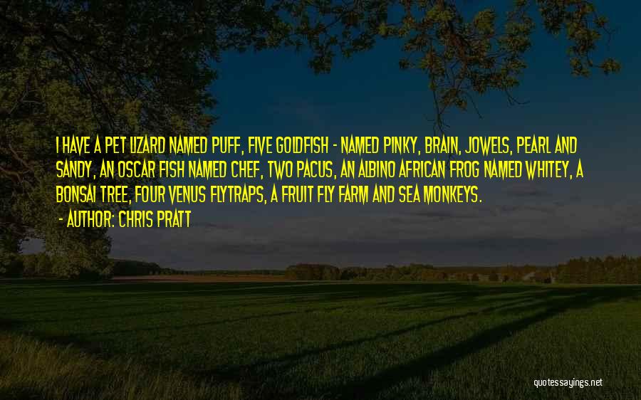 Chris Pratt Quotes: I Have A Pet Lizard Named Puff, Five Goldfish - Named Pinky, Brain, Jowels, Pearl And Sandy, An Oscar Fish