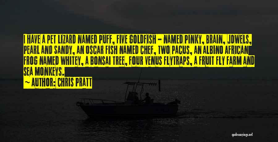 Chris Pratt Quotes: I Have A Pet Lizard Named Puff, Five Goldfish - Named Pinky, Brain, Jowels, Pearl And Sandy, An Oscar Fish