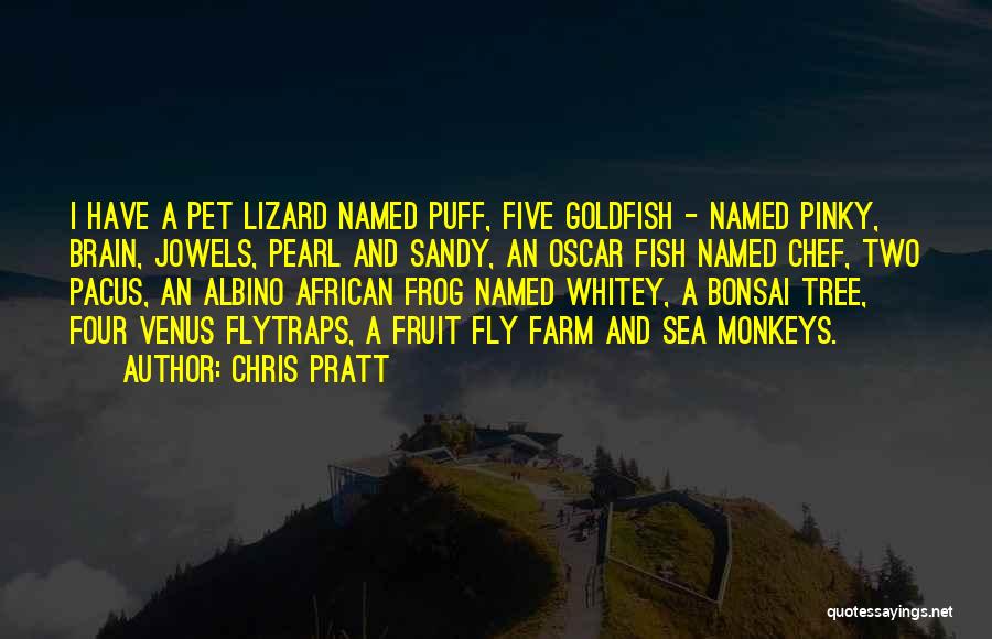 Chris Pratt Quotes: I Have A Pet Lizard Named Puff, Five Goldfish - Named Pinky, Brain, Jowels, Pearl And Sandy, An Oscar Fish