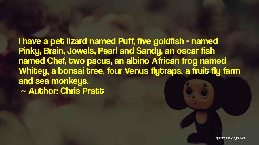 Chris Pratt Quotes: I Have A Pet Lizard Named Puff, Five Goldfish - Named Pinky, Brain, Jowels, Pearl And Sandy, An Oscar Fish