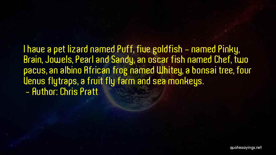 Chris Pratt Quotes: I Have A Pet Lizard Named Puff, Five Goldfish - Named Pinky, Brain, Jowels, Pearl And Sandy, An Oscar Fish