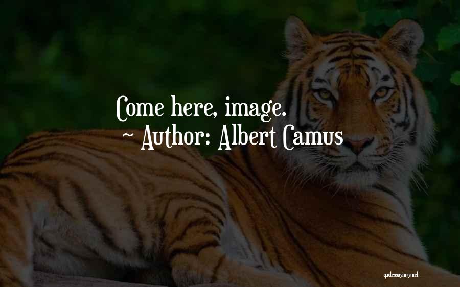 Albert Camus Quotes: Come Here, Image.