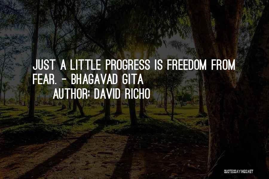 David Richo Quotes: Just A Little Progress Is Freedom From Fear. - Bhagavad Gita