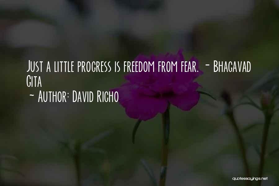 David Richo Quotes: Just A Little Progress Is Freedom From Fear. - Bhagavad Gita