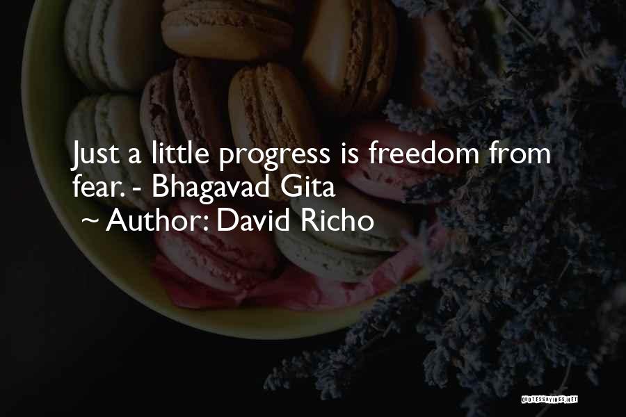 David Richo Quotes: Just A Little Progress Is Freedom From Fear. - Bhagavad Gita