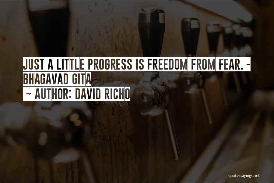 David Richo Quotes: Just A Little Progress Is Freedom From Fear. - Bhagavad Gita