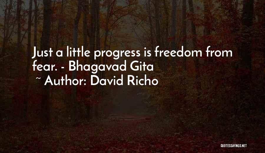 David Richo Quotes: Just A Little Progress Is Freedom From Fear. - Bhagavad Gita