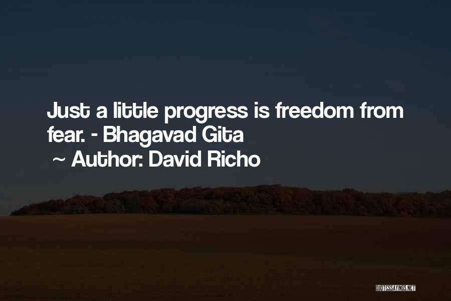 David Richo Quotes: Just A Little Progress Is Freedom From Fear. - Bhagavad Gita