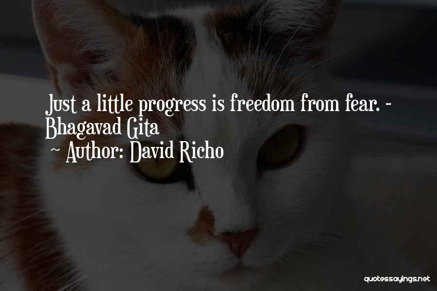 David Richo Quotes: Just A Little Progress Is Freedom From Fear. - Bhagavad Gita