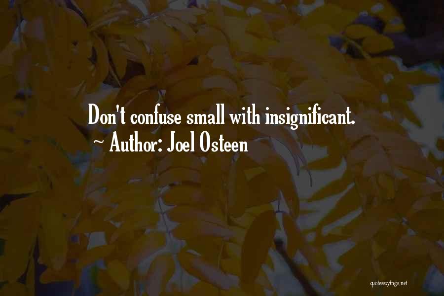 Joel Osteen Quotes: Don't Confuse Small With Insignificant.