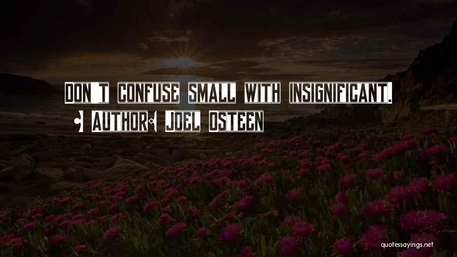 Joel Osteen Quotes: Don't Confuse Small With Insignificant.