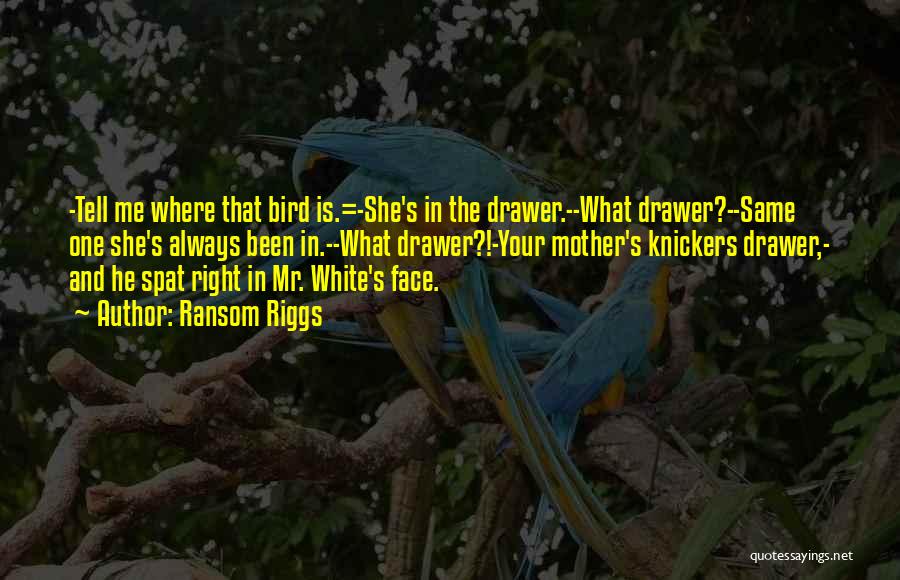 Ransom Riggs Quotes: -tell Me Where That Bird Is.=-she's In The Drawer.--what Drawer?--same One She's Always Been In.--what Drawer?!-your Mother's Knickers Drawer,- And