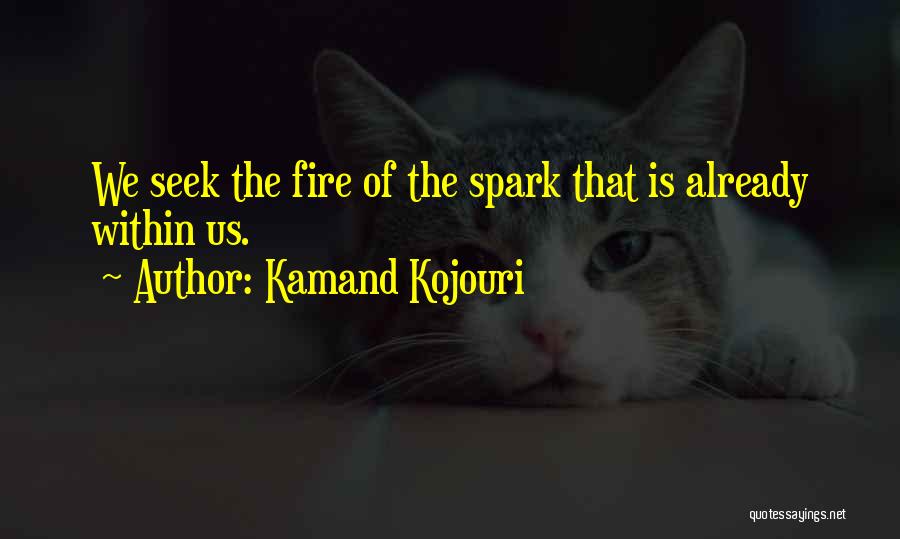 Kamand Kojouri Quotes: We Seek The Fire Of The Spark That Is Already Within Us.