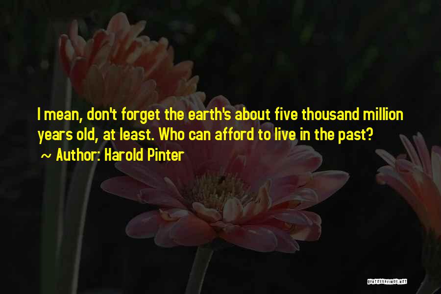 Harold Pinter Quotes: I Mean, Don't Forget The Earth's About Five Thousand Million Years Old, At Least. Who Can Afford To Live In