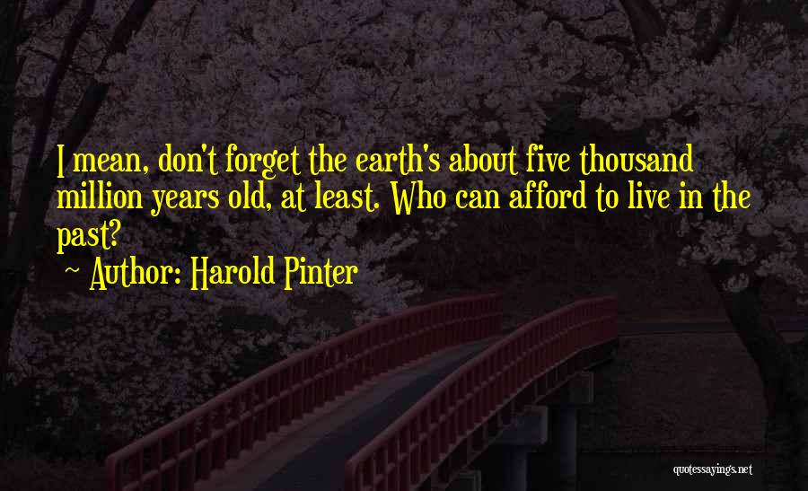 Harold Pinter Quotes: I Mean, Don't Forget The Earth's About Five Thousand Million Years Old, At Least. Who Can Afford To Live In