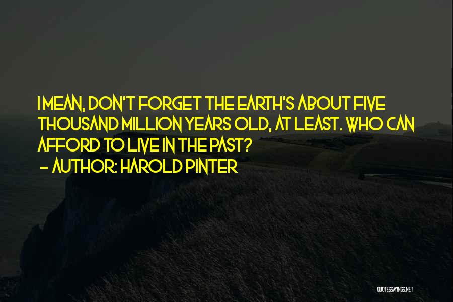 Harold Pinter Quotes: I Mean, Don't Forget The Earth's About Five Thousand Million Years Old, At Least. Who Can Afford To Live In