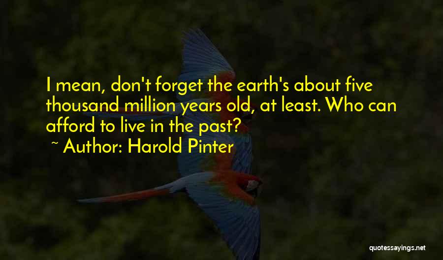 Harold Pinter Quotes: I Mean, Don't Forget The Earth's About Five Thousand Million Years Old, At Least. Who Can Afford To Live In