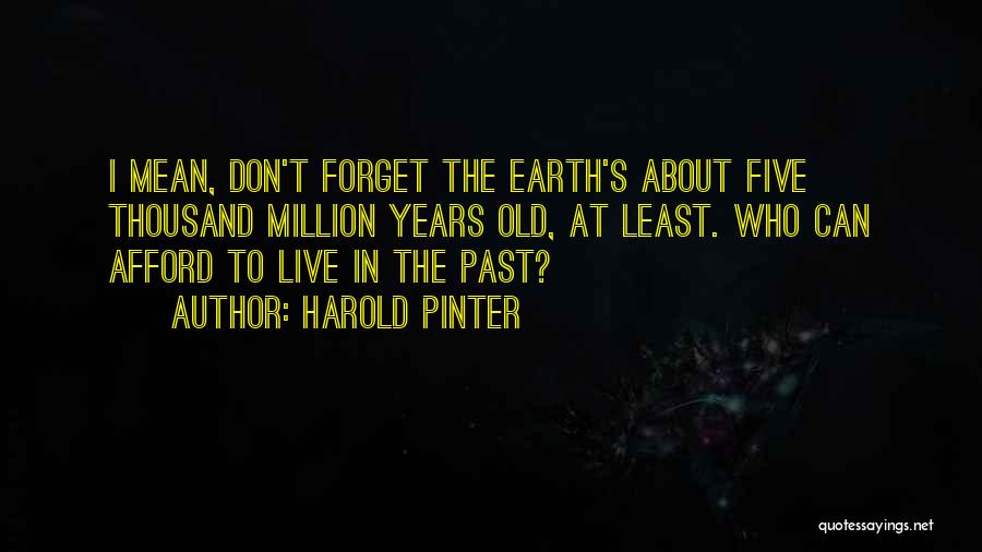 Harold Pinter Quotes: I Mean, Don't Forget The Earth's About Five Thousand Million Years Old, At Least. Who Can Afford To Live In