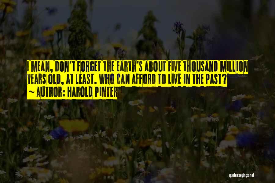 Harold Pinter Quotes: I Mean, Don't Forget The Earth's About Five Thousand Million Years Old, At Least. Who Can Afford To Live In