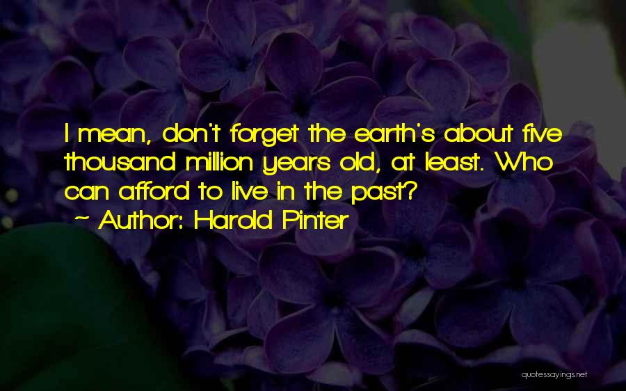 Harold Pinter Quotes: I Mean, Don't Forget The Earth's About Five Thousand Million Years Old, At Least. Who Can Afford To Live In