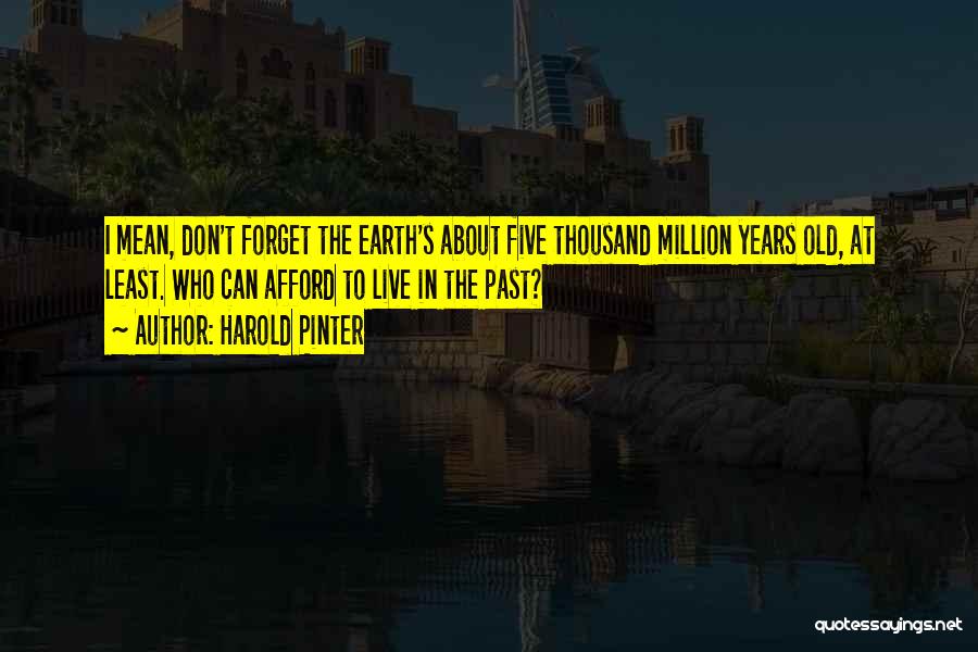 Harold Pinter Quotes: I Mean, Don't Forget The Earth's About Five Thousand Million Years Old, At Least. Who Can Afford To Live In