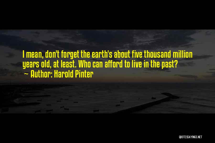 Harold Pinter Quotes: I Mean, Don't Forget The Earth's About Five Thousand Million Years Old, At Least. Who Can Afford To Live In