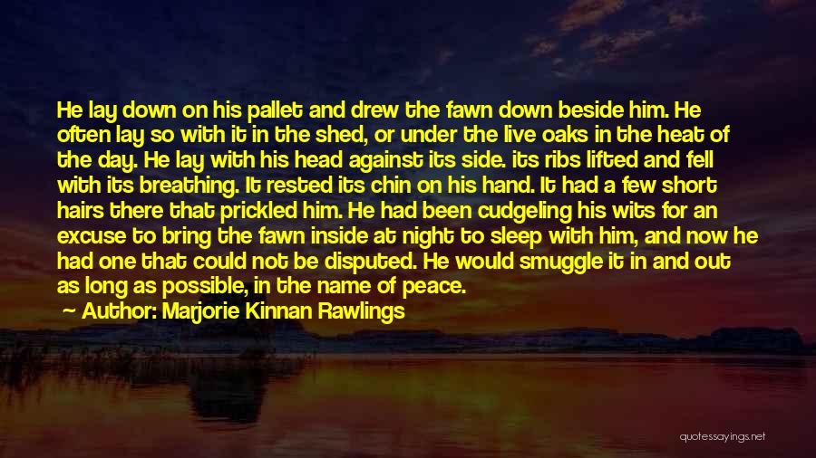 Marjorie Kinnan Rawlings Quotes: He Lay Down On His Pallet And Drew The Fawn Down Beside Him. He Often Lay So With It In