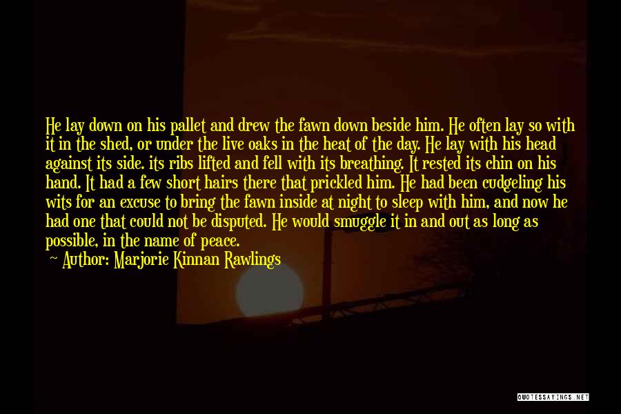 Marjorie Kinnan Rawlings Quotes: He Lay Down On His Pallet And Drew The Fawn Down Beside Him. He Often Lay So With It In