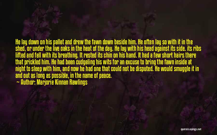 Marjorie Kinnan Rawlings Quotes: He Lay Down On His Pallet And Drew The Fawn Down Beside Him. He Often Lay So With It In