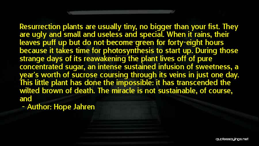 Hope Jahren Quotes: Resurrection Plants Are Usually Tiny, No Bigger Than Your Fist. They Are Ugly And Small And Useless And Special. When