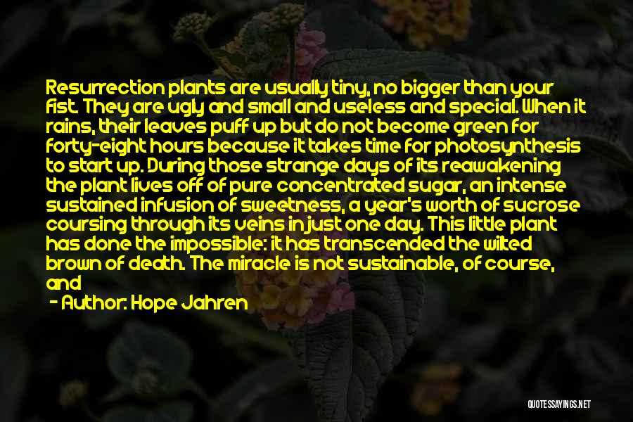 Hope Jahren Quotes: Resurrection Plants Are Usually Tiny, No Bigger Than Your Fist. They Are Ugly And Small And Useless And Special. When