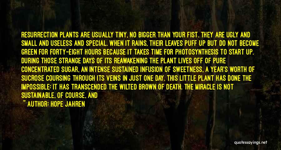 Hope Jahren Quotes: Resurrection Plants Are Usually Tiny, No Bigger Than Your Fist. They Are Ugly And Small And Useless And Special. When