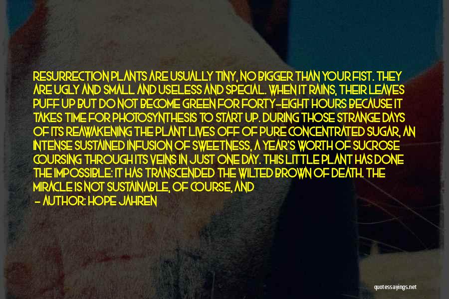 Hope Jahren Quotes: Resurrection Plants Are Usually Tiny, No Bigger Than Your Fist. They Are Ugly And Small And Useless And Special. When