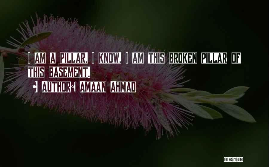 Amaan Ahmad Quotes: I Am A Pillar. I Know. I Am This Broken Pillar Of This Basement.