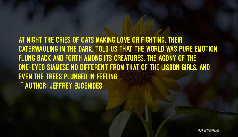 Jeffrey Eugenides Quotes: At Night The Cries Of Cats Making Love Or Fighting, Their Caterwauling In The Dark, Told Us That The World