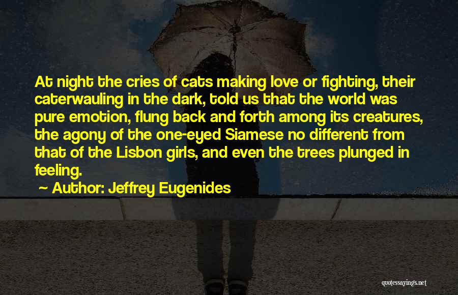 Jeffrey Eugenides Quotes: At Night The Cries Of Cats Making Love Or Fighting, Their Caterwauling In The Dark, Told Us That The World