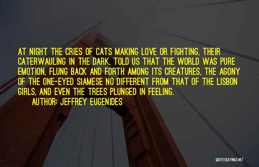 Jeffrey Eugenides Quotes: At Night The Cries Of Cats Making Love Or Fighting, Their Caterwauling In The Dark, Told Us That The World