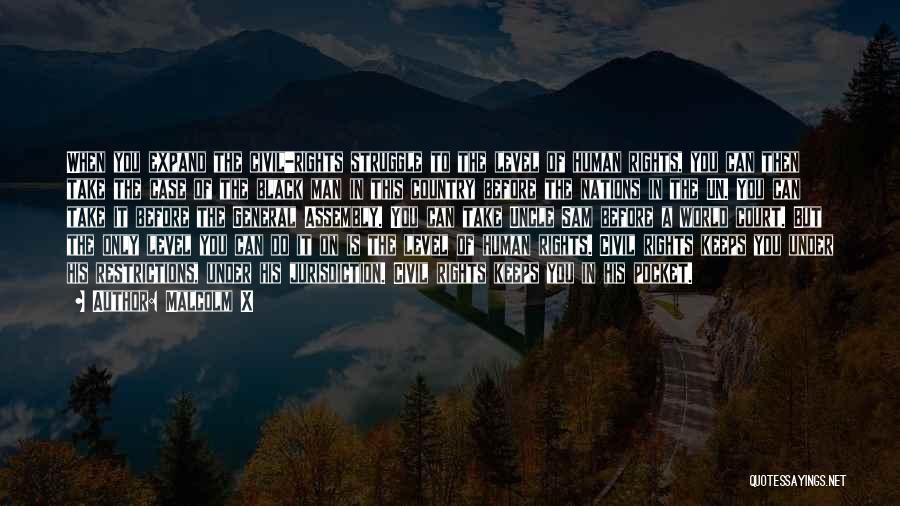 Malcolm X Quotes: When You Expand The Civil-rights Struggle To The Level Of Human Rights, You Can Then Take The Case Of The