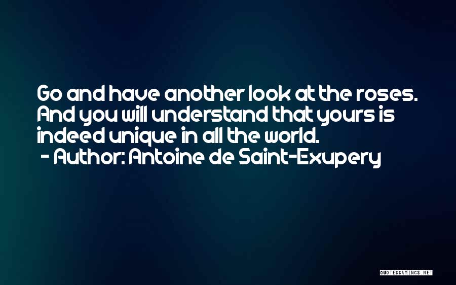 Antoine De Saint-Exupery Quotes: Go And Have Another Look At The Roses. And You Will Understand That Yours Is Indeed Unique In All The