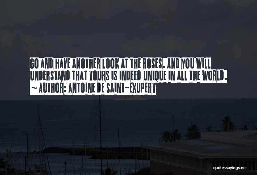 Antoine De Saint-Exupery Quotes: Go And Have Another Look At The Roses. And You Will Understand That Yours Is Indeed Unique In All The