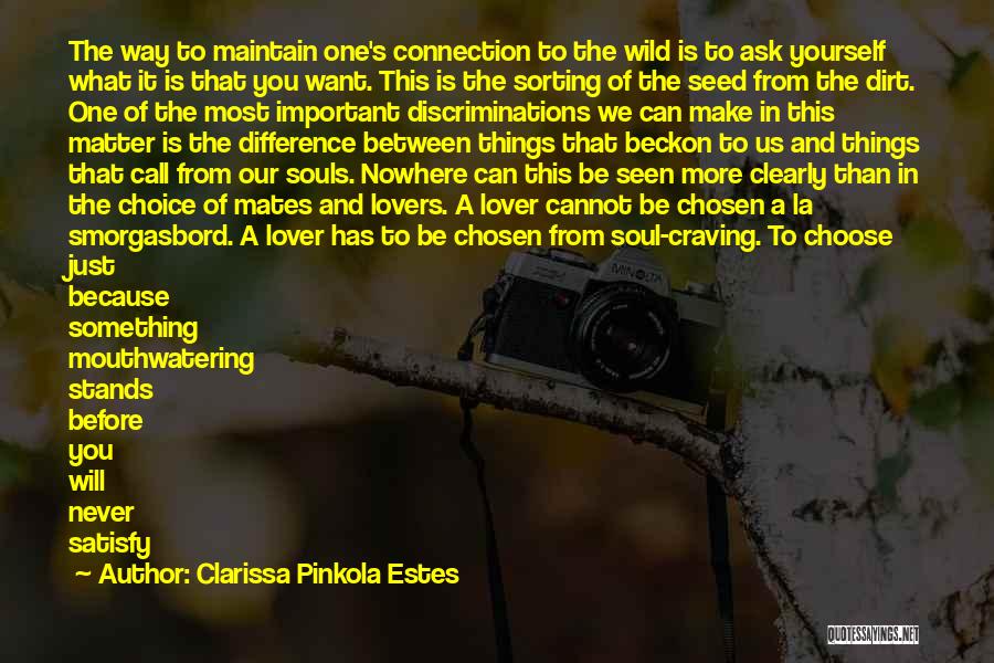Clarissa Pinkola Estes Quotes: The Way To Maintain One's Connection To The Wild Is To Ask Yourself What It Is That You Want. This